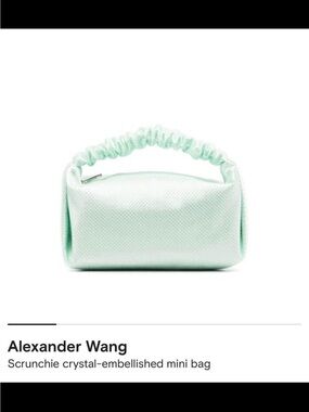 Alexander Wang Pale Mint Scrunchie-Handle Mini Bag